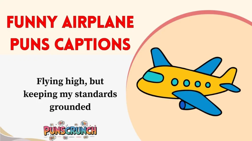 Funny Airplane Puns Captions