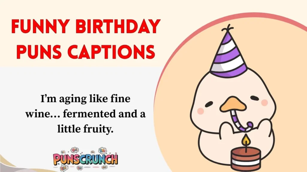 Funny Birthday Puns Captions