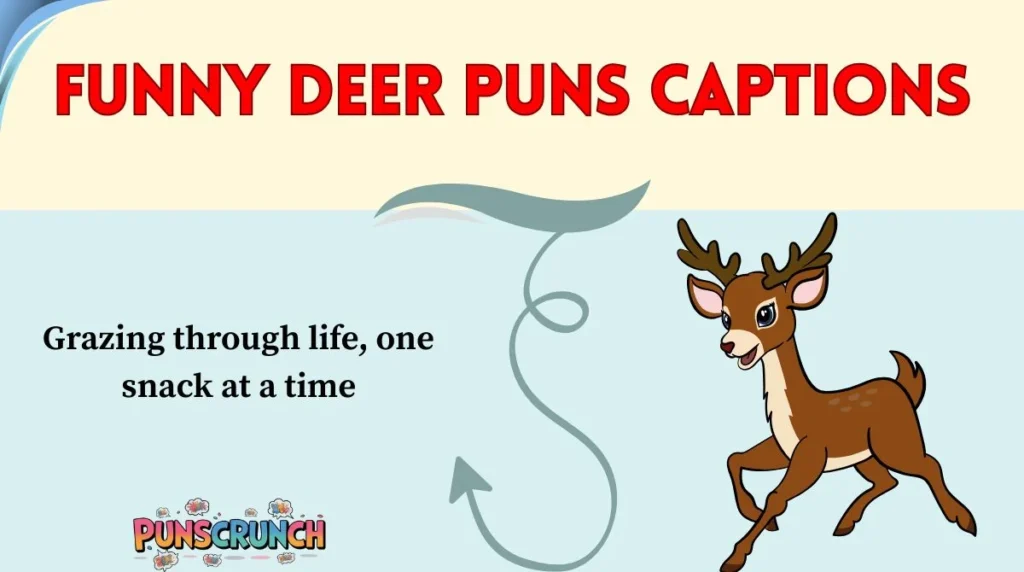 Funny Deer Puns Captions