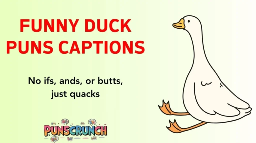 Funny Duck Puns Captions