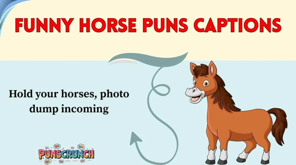 Funny Horse Puns Captions