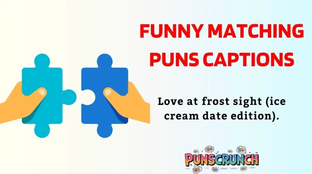 Funny Matching Puns Captions