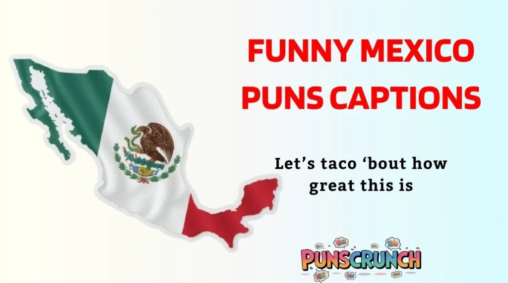 Funny Mexico Puns Captions
