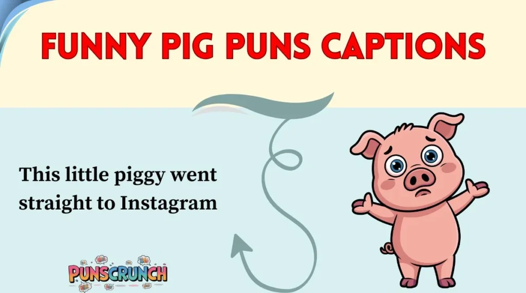 Funny Pig Puns Captions