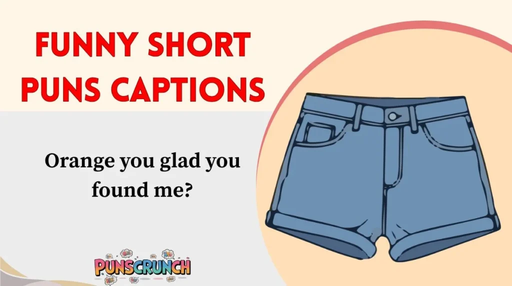 Funny Short Puns Captions