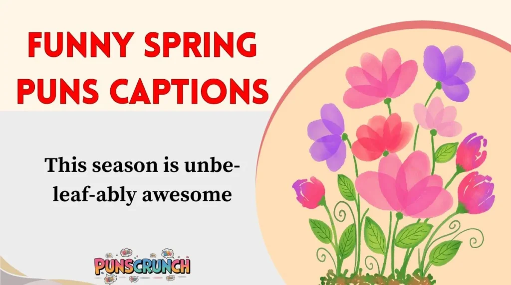 Funny Spring Puns Captions