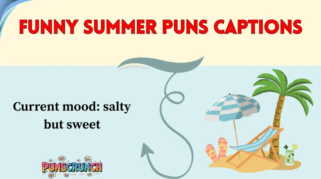 Funny Summer Puns Captions