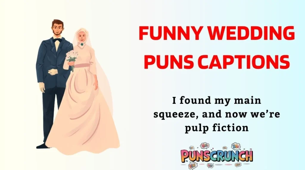 Funny Wedding Puns Captions