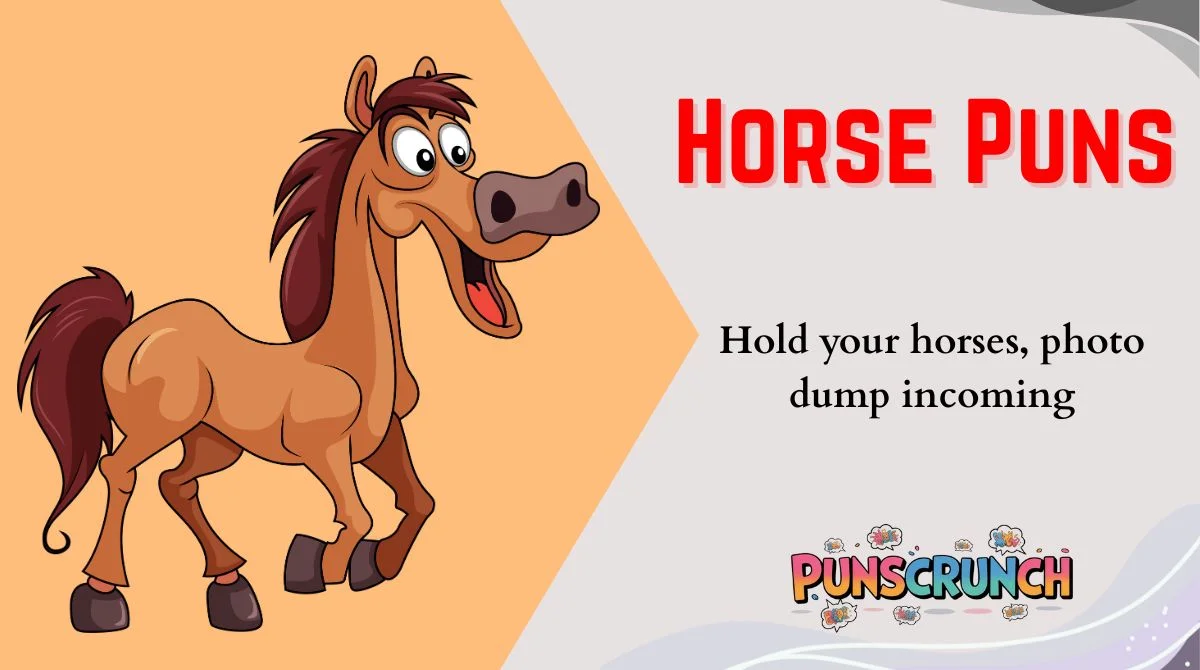 Horse Puns