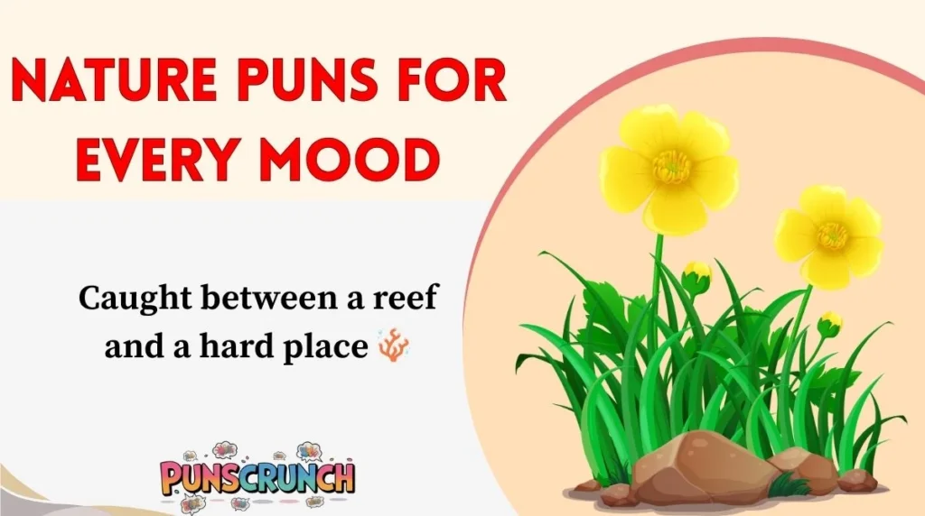 Nature Puns for Every Mood