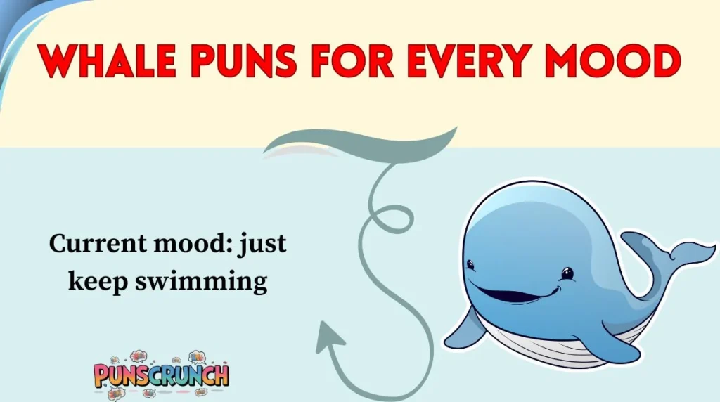 Whale Puns for Every Mood