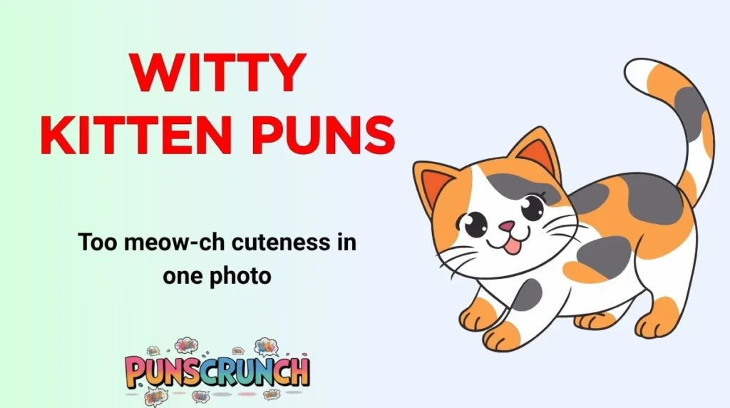Witty Kitten Puns