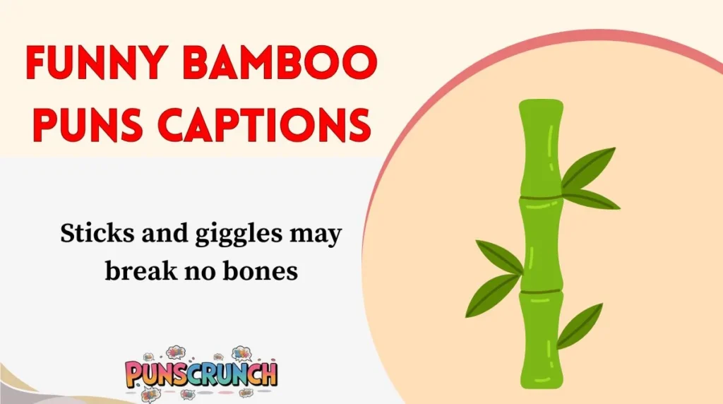 Funny Bamboo Puns Captions