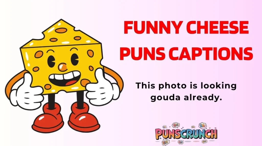 Funny Cheese Puns Captions