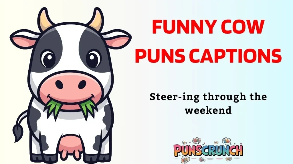 Funny Cow Puns Captions