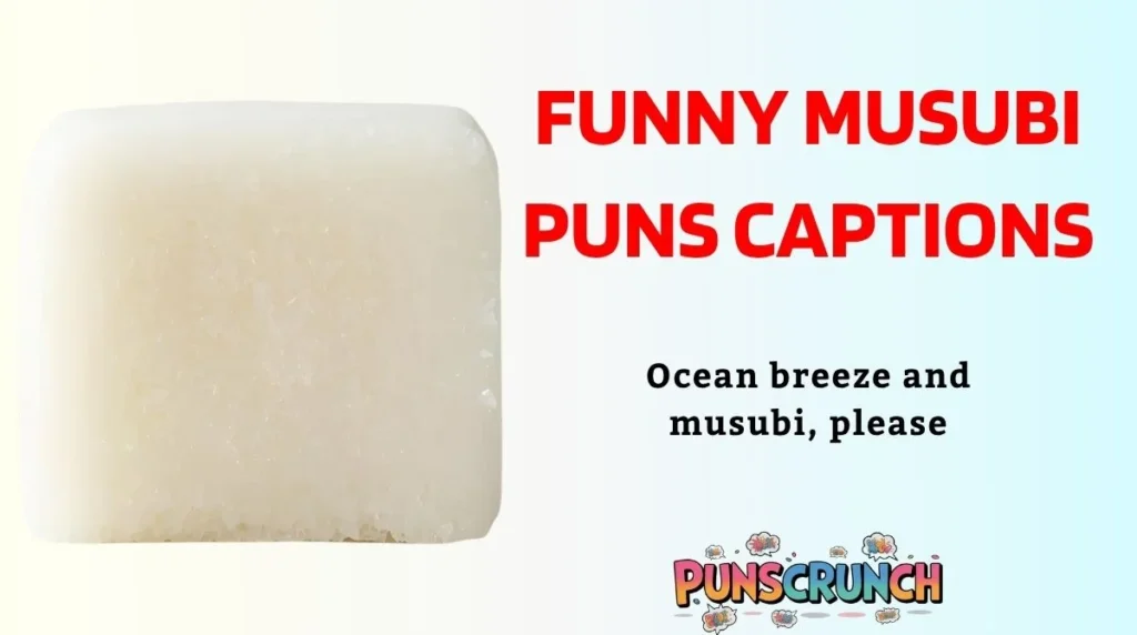Funny Musubi Puns Captions