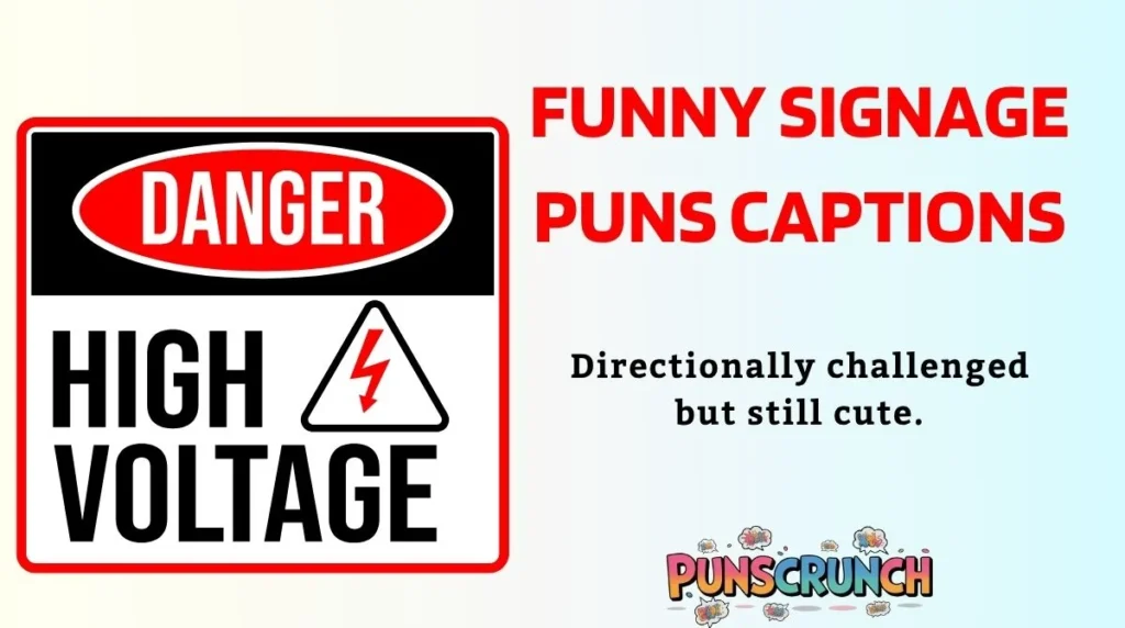 Funny Signage Puns Captions