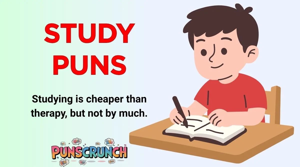 Study Puns
