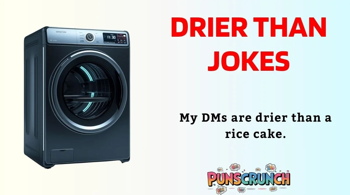 Drier Than Jokes