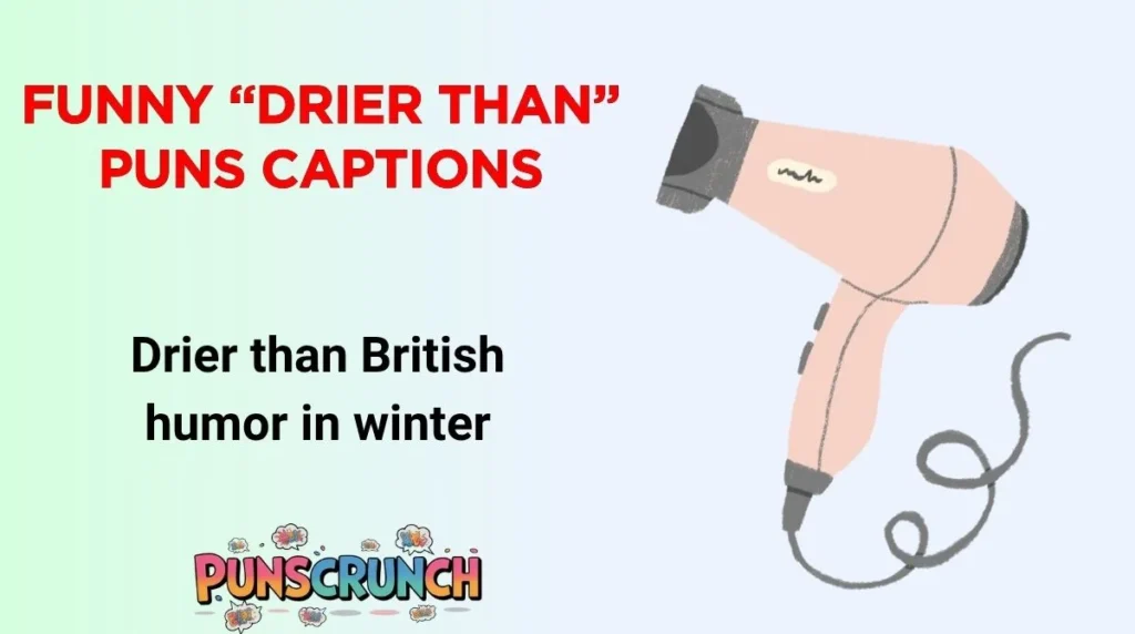 Funny “Drier Than” Puns Captions