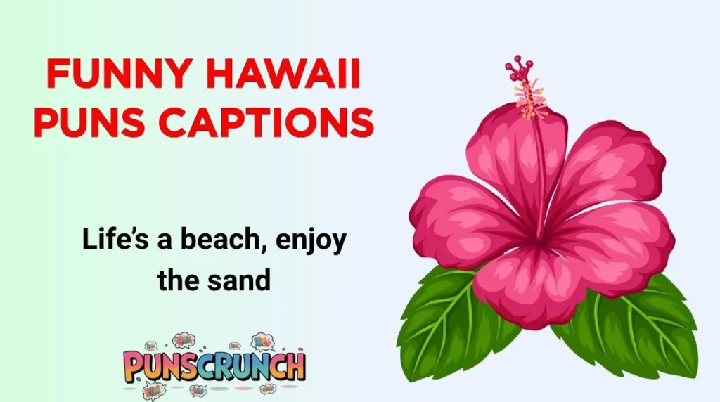 Funny Hawaii Puns Captions