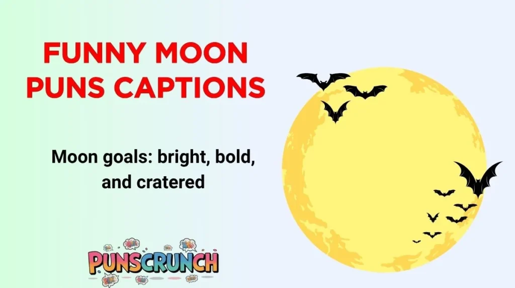 Funny Moon Puns Captions