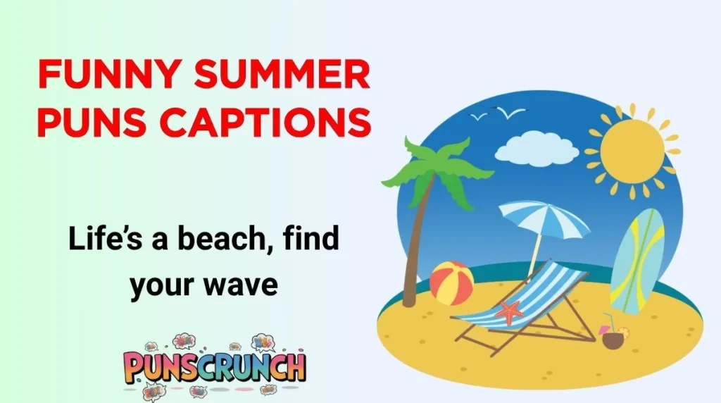 Funny Summer Puns Captions