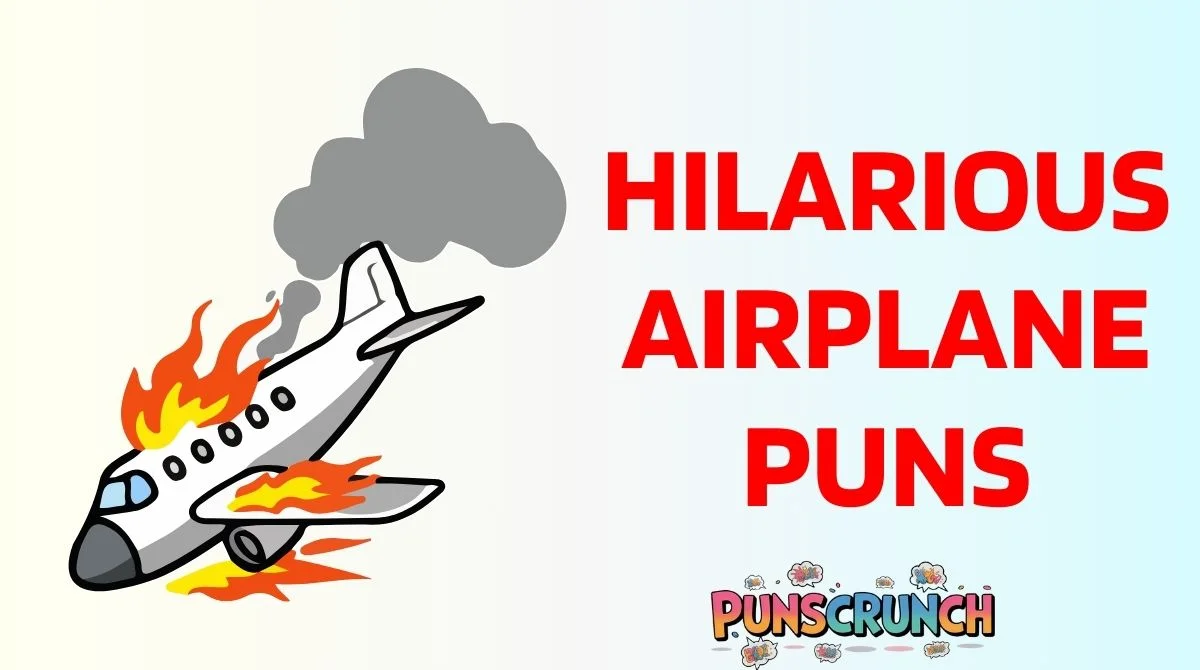 Hilarious Airplane Puns