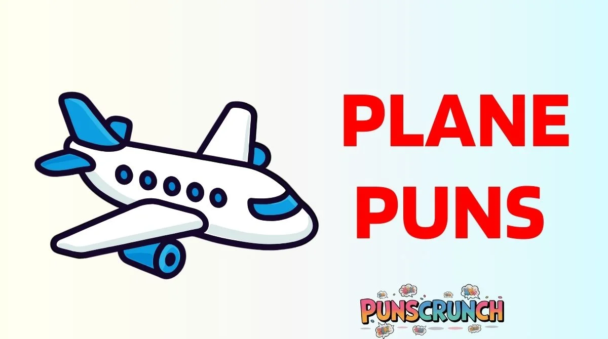 Plane Puns