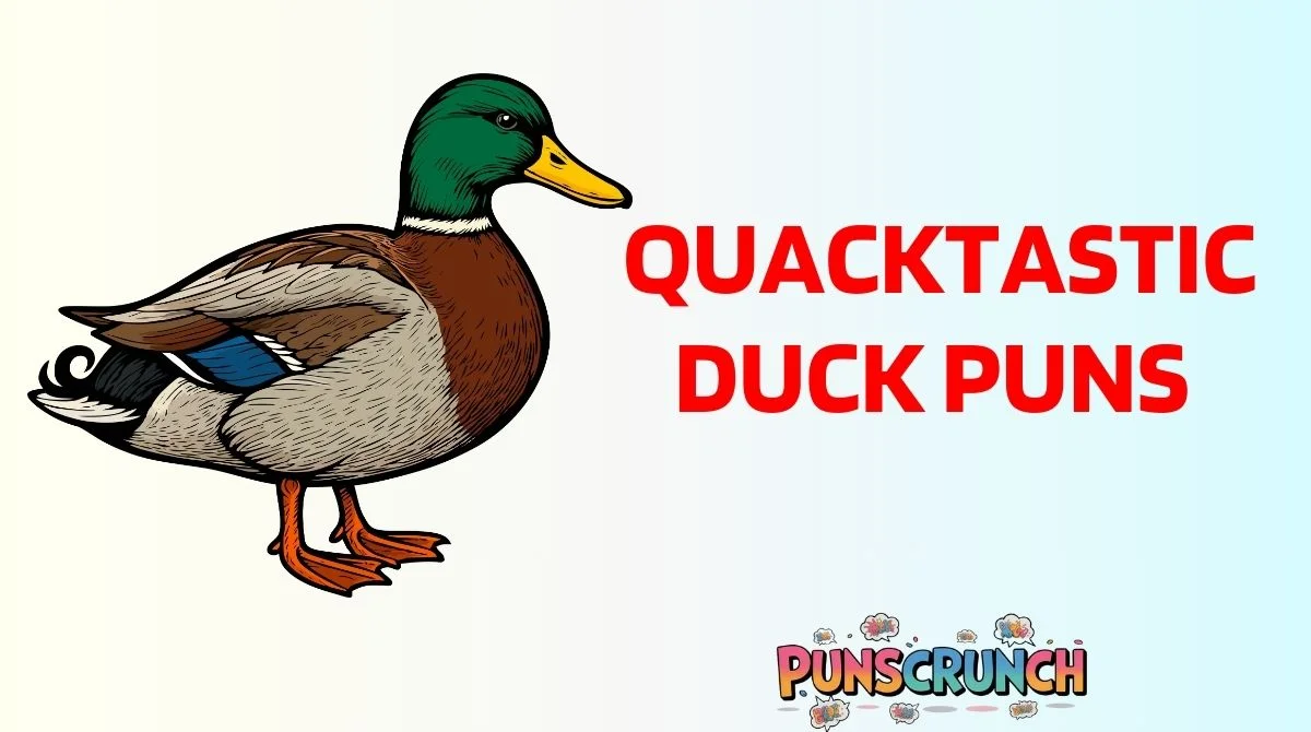 Quacktastic Duck Puns