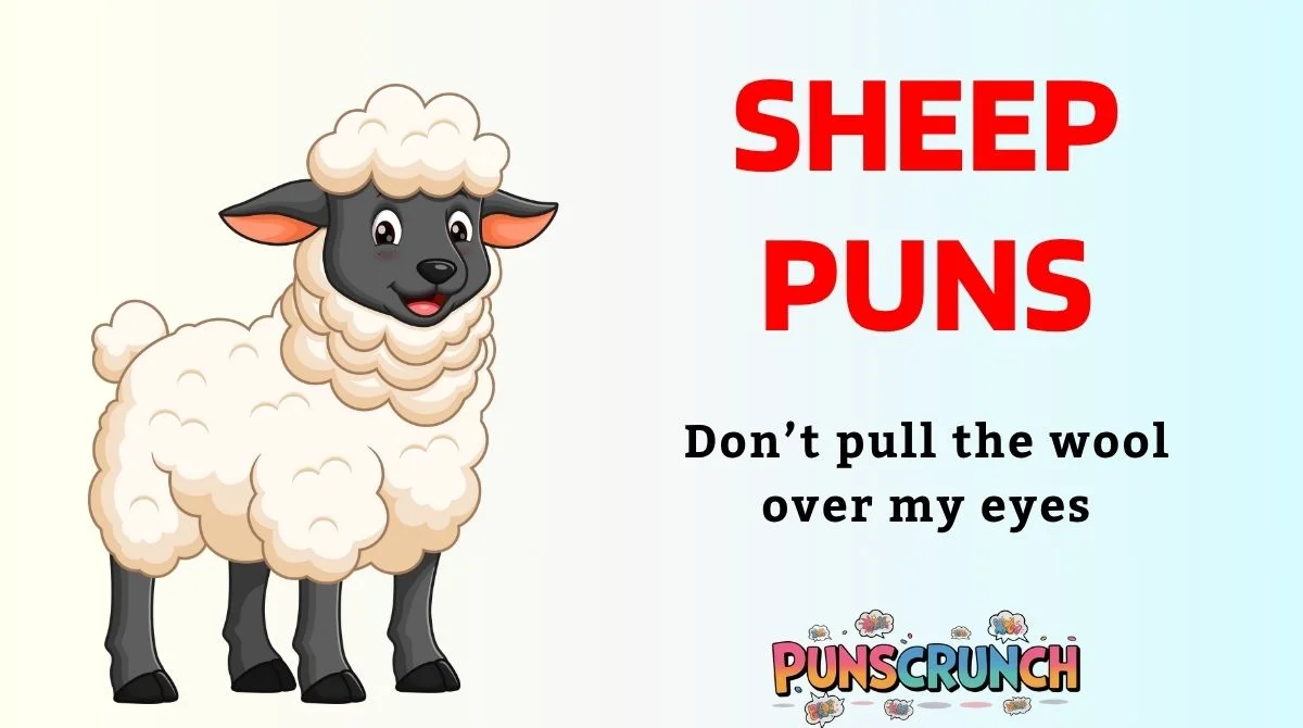 Sheep Puns