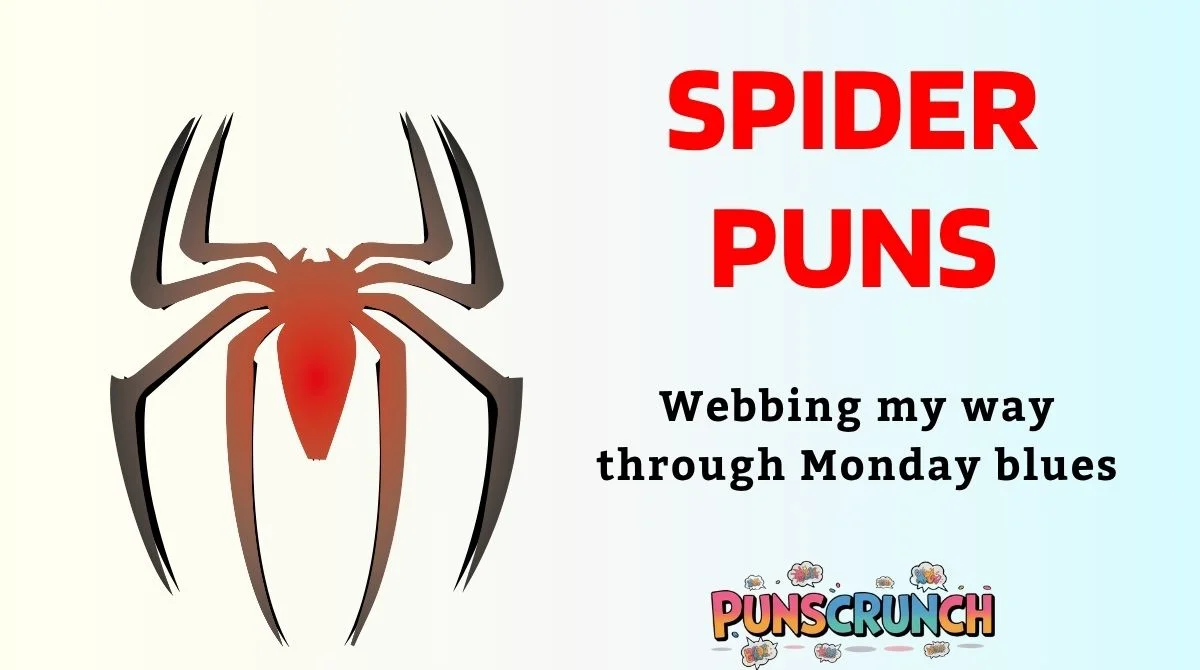 Spider Puns